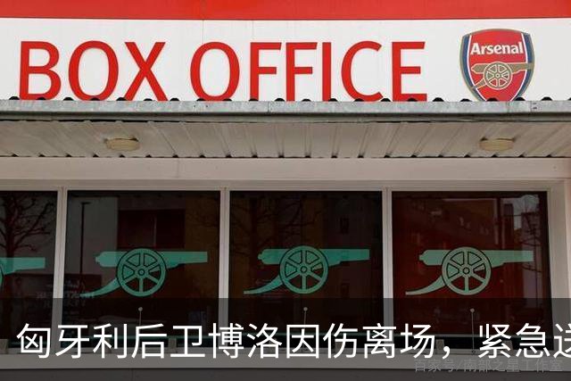 匈牙利后卫博洛因伤离场，紧急送医